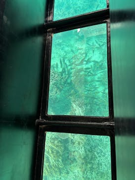 まりんはうすぐるくんに投稿された画像（2025/3/6）