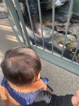 世界淡水魚園水族館　アクア・トトぎふに投稿された画像（2025/3/7）