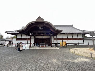 元離宮二条城に投稿された画像（2025/3/7）