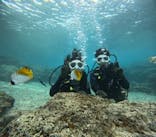 沖縄マリンサービス碧に投稿された画像（2025/3/7）