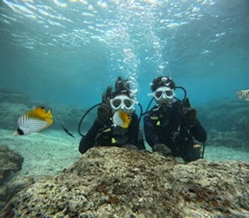 沖縄マリンサービス碧に投稿された画像（2025/3/7）