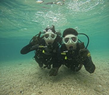 沖縄マリンサービス碧に投稿された画像（2025/3/7）