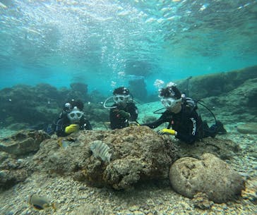 青の洞窟専門店　沖縄ダイビングショップ和に投稿された画像（2025/3/7）