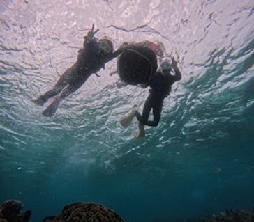 沖縄マリンサービス碧に投稿された画像（2025/3/7）