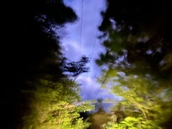 Yamakara屋久島に投稿された画像（2025/3/7）