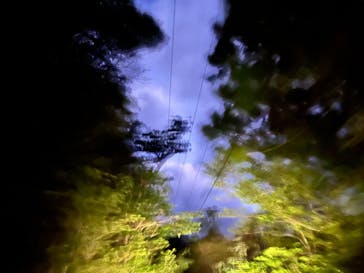 Yamakara屋久島に投稿された画像（2025/3/7）