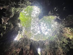 Yamakara屋久島に投稿された画像（2025/3/7）