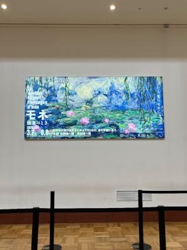 モネ　睡蓮のときに投稿された画像（2025/3/7）