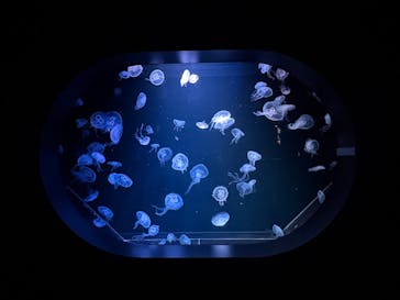 AOAO SAPPOROに投稿された画像（2025/3/7）