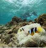 青の洞窟専門店　沖縄ダイビングショップ和に投稿された画像（2025/3/7）