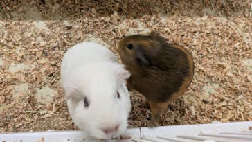 アニタッチ 東京ドームシティに投稿された画像（2025/3/7）