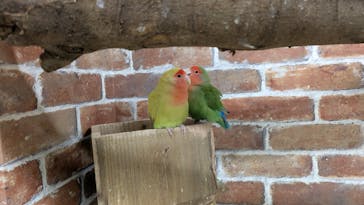 アニタッチ 東京ドームシティに投稿された画像（2025/3/7）