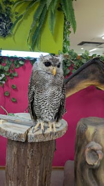 アニタッチ 東京ドームシティに投稿された画像（2025/3/7）