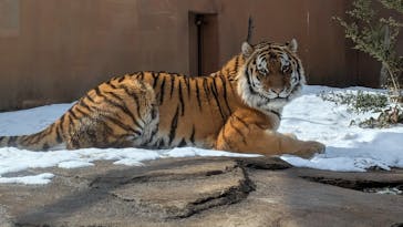 那須どうぶつ王国に投稿された画像（2025/3/7）