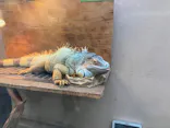 仙台うみの杜水族館に投稿された画像（2025/3/8）