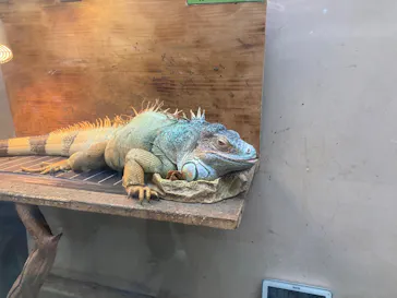 仙台うみの杜水族館に投稿された画像（2025/3/7）