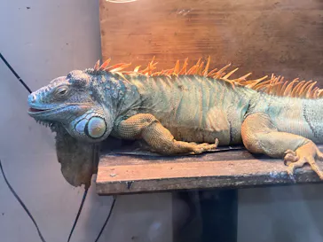 仙台うみの杜水族館に投稿された画像（2025/3/7）