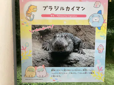仙台うみの杜水族館に投稿された画像（2025/3/7）