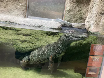 仙台うみの杜水族館に投稿された画像（2025/3/7）