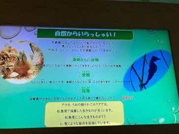 仙台うみの杜水族館に投稿された画像（2025/3/7）