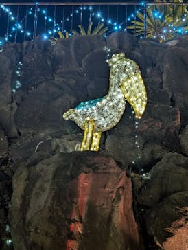 伊豆高原グランイルミに投稿された画像（2025/3/7）