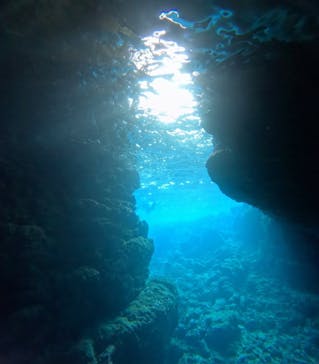 青の洞窟専門店　沖縄ダイビングショップ和に投稿された画像（2025/3/8）