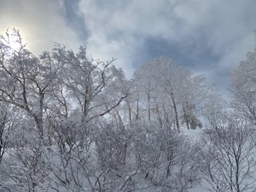 安比高原スキー場に投稿された画像（2025/3/8）