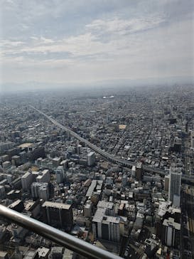 ハルカス300(展望台)に投稿された画像（2025/3/8）