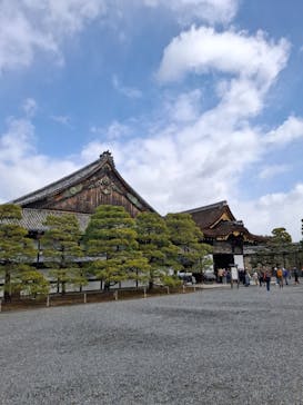 元離宮二条城に投稿された画像（2025/3/8）