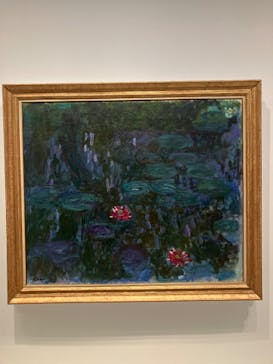 モネ　睡蓮のときに投稿された画像（2025/3/8）