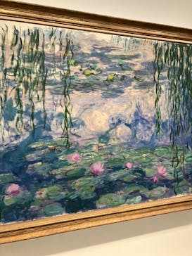 モネ　睡蓮のときに投稿された画像（2025/3/8）