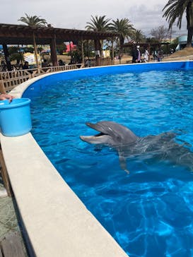 南知多ビーチランド＆南知多おもちゃ王国に投稿された画像（2025/3/8）