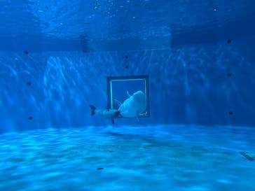 島根県立 しまね海洋館に投稿された画像（2025/3/8）