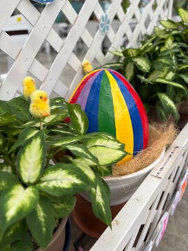 掛川花鳥園に投稿された画像（2025/3/8）