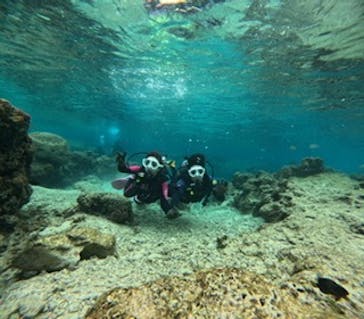 沖縄マリンサービス碧に投稿された画像（2025/3/8）