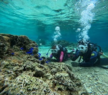 沖縄マリンサービス碧に投稿された画像（2025/3/8）