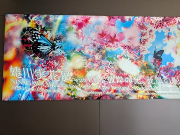 蜷川実花展 with EiM：彼岸の光、此岸の影 NINAGAWA Mika with EiM：Lights of the beyond, Shadows of this worldに投稿された画像（2025/3/8）