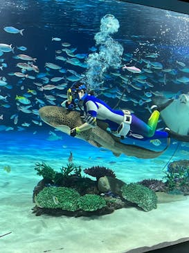 サンシャイン水族館に投稿された画像（2025/3/8）