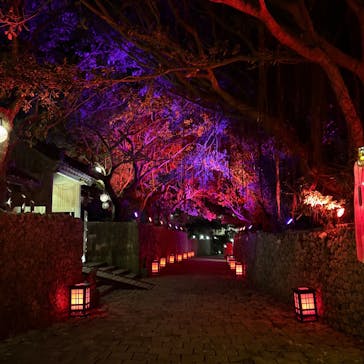 体験王国 むら咲むらに投稿された画像（2025/3/8）