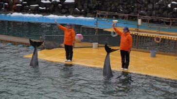 越前松島水族館に投稿された画像（2025/3/8）