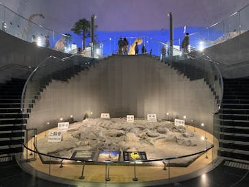 福井県立恐竜博物館に投稿された画像（2025/3/8）