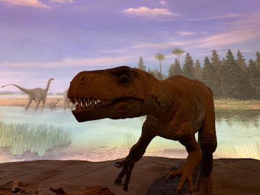 福井県立恐竜博物館に投稿された画像（2025/3/8）