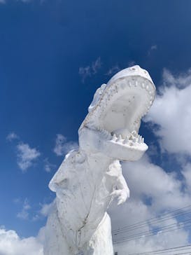 福井県立恐竜博物館に投稿された画像（2025/3/8）