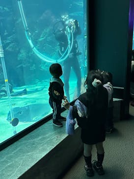 マリンワールド海の中道に投稿された画像（2025/3/8）