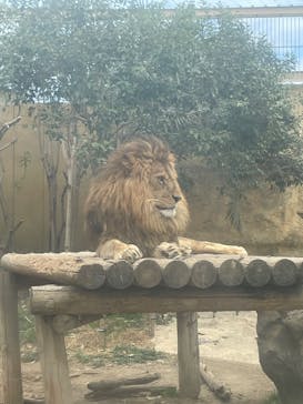 東武動物公園に投稿された画像（2025/3/8）