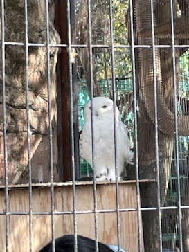 東武動物公園に投稿された画像（2025/3/8）