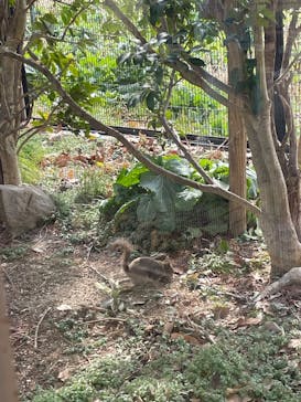 東武動物公園に投稿された画像（2025/3/8）