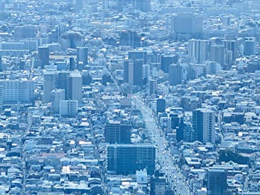 ハルカス300(展望台)に投稿された画像（2025/3/8）