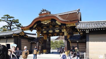 元離宮二条城に投稿された画像（2025/3/8）