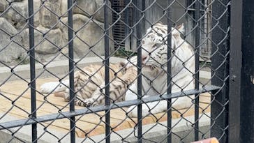 東武動物公園に投稿された画像（2025/3/8）